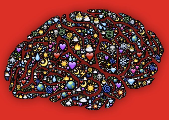 colorful brain