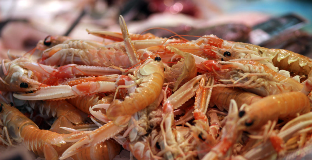 sea food dish