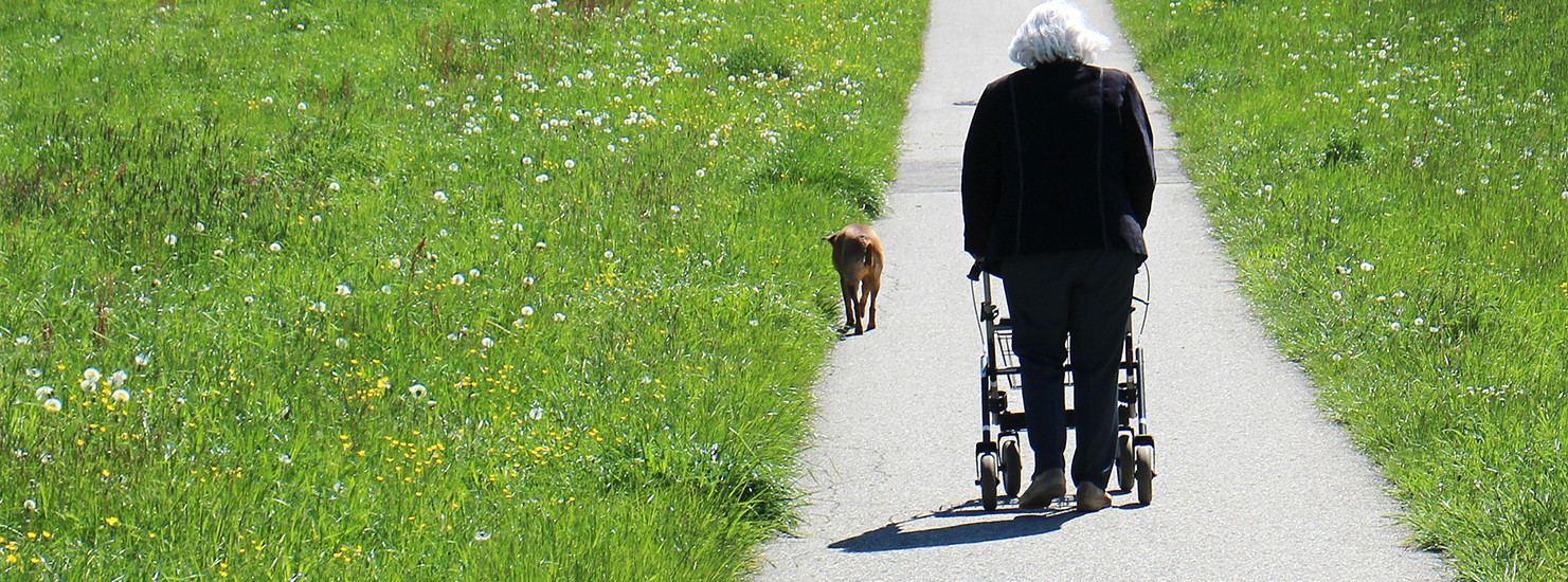 rollator